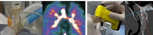 Lung/Respiratory: airway/nasal aerosolization Lung/Respiratory: airway/nasal aerosolization
