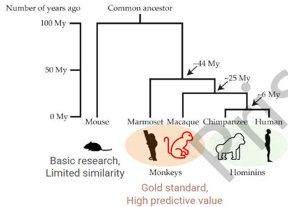Gold standard,High predictive value Gold standard,High predictive value