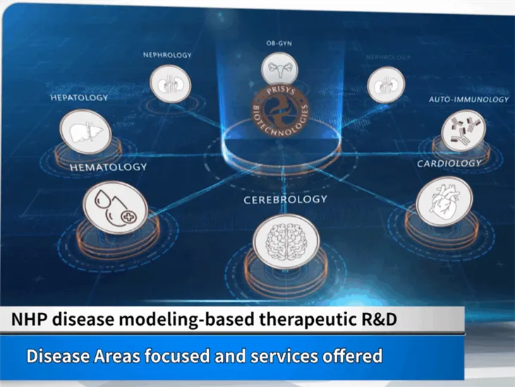 NHP(maymun) Hastalığı Modelleri