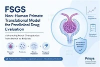 Odak Segmental Glomerüloskleroz (FSGS) NHP Modeli