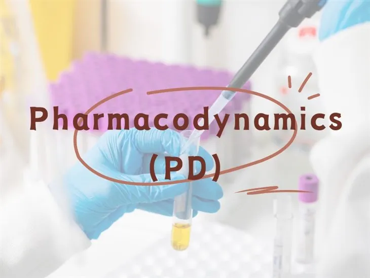 Farmakodinamik (PD)